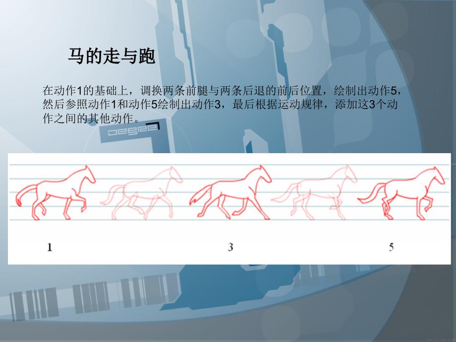 动物运动规律(课堂PPT)_第3页