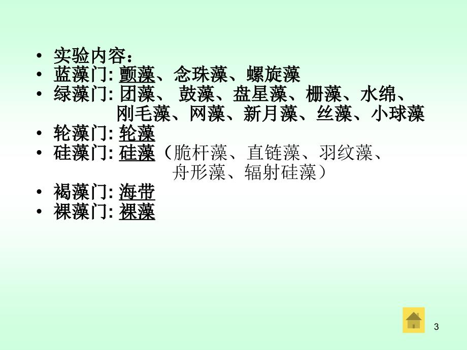 植物学下册 植物实验 实验一、藻类植物(课堂PPT)_第3页