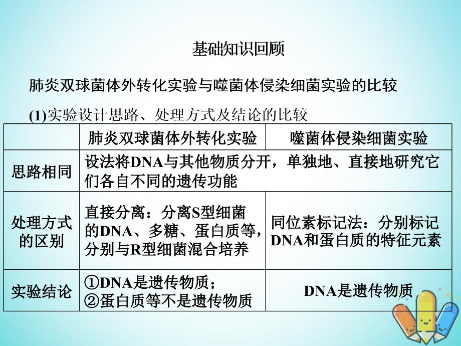 高考生物总复习精彩三十三天（九）遗传的分子基础2课件_第3页