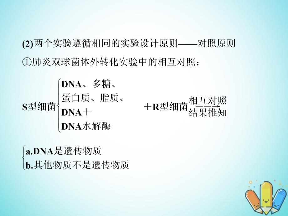 高考生物总复习精彩三十三天（九）遗传的分子基础2课件_第4页