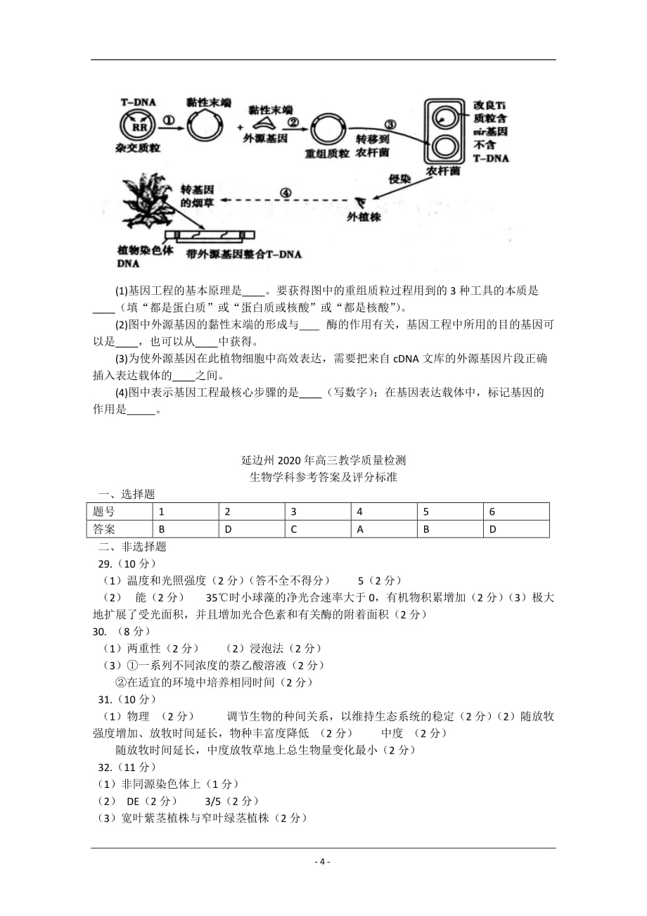 吉林省延边州2020届高三下学期4月教学质量检测生物试题 Word版含答案_第4页