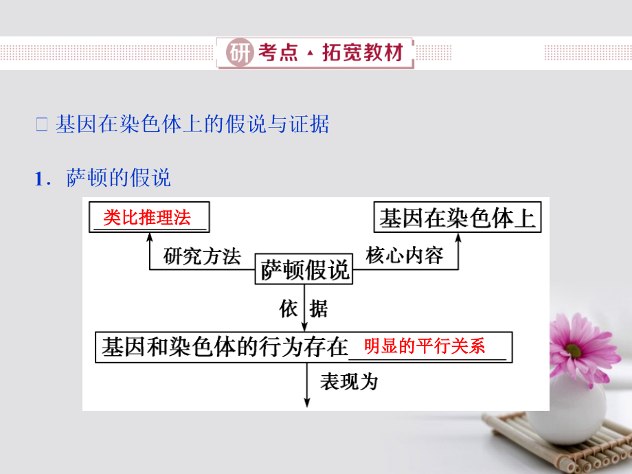 高考生物总复习第六单元遗传的基本规律和伴性遗传第20讲基因在染色体上伴性遗传课件新人教版_第3页