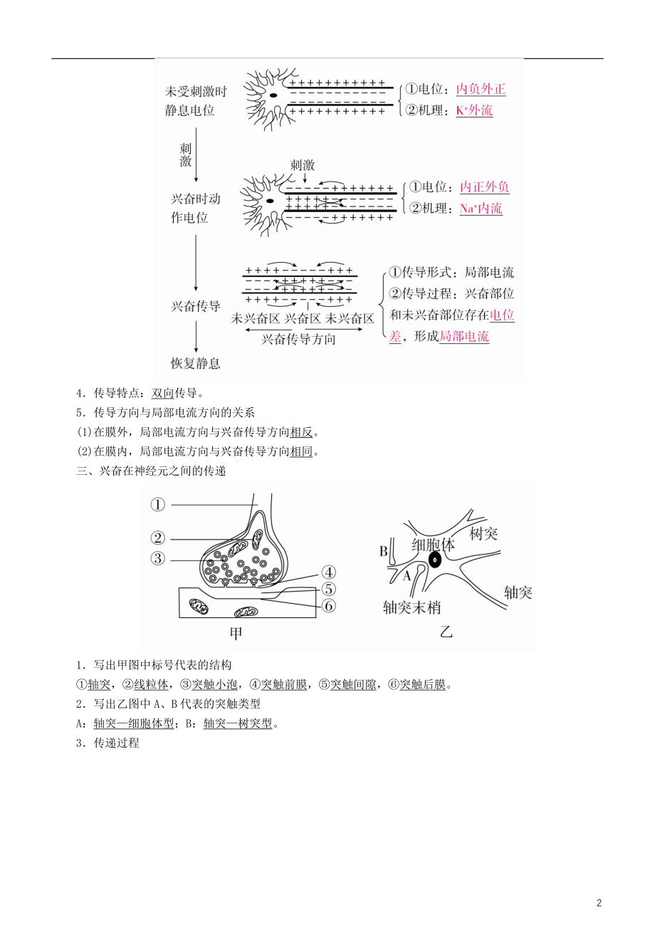 高考生物一轮复习第26讲通过神经系统的调节讲练结合学案_第2页