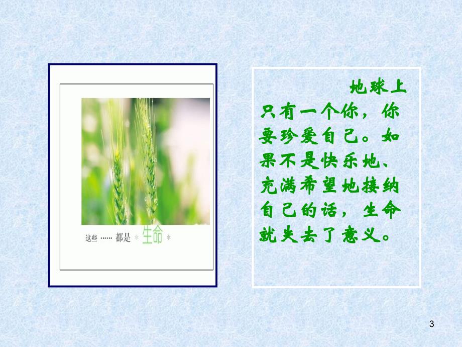 大学生职业生涯规划-自我认知(课堂PPT)_第3页