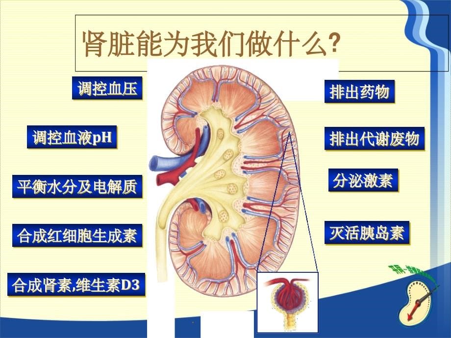 慢性肾脏病的营养治疗ppt课件_第5页