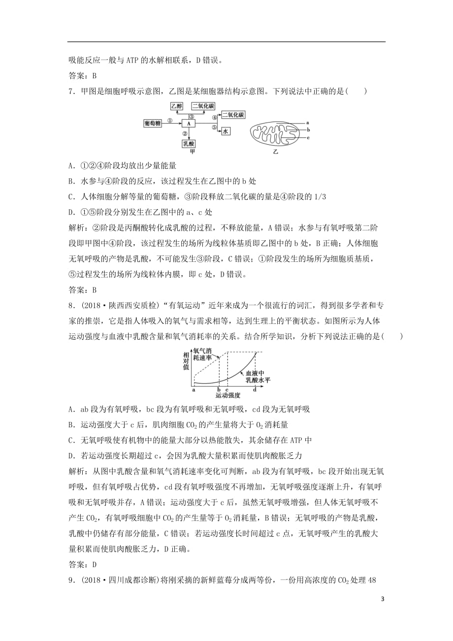 高考生物一轮复习第三单元第2讲ATP与细胞呼吸练习新人教版_第3页