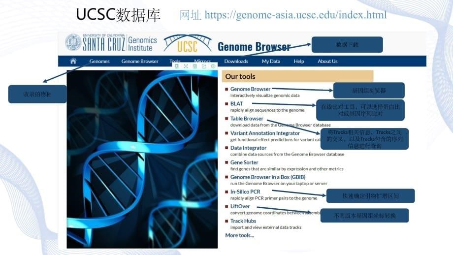 UCSC使用介绍(课堂PPT)_第5页