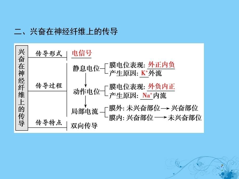 高考生物一轮复习第八单元生命活动的调节第四讲通过神经系统的调节课件苏教版_第5页