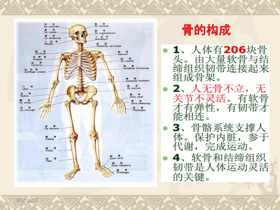 中老年人骨关节疼痛防与治教学文案_第4页