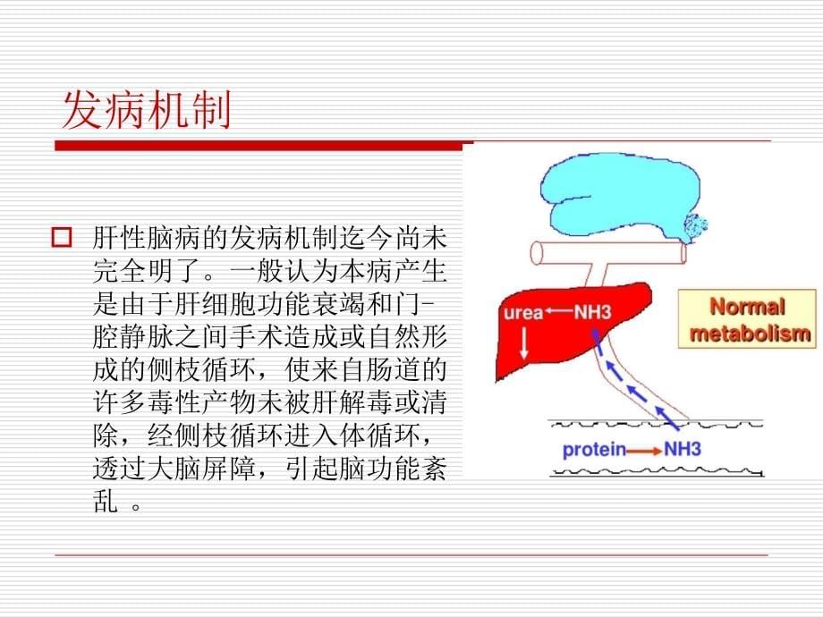 内科护理学-肝性脑病病人的护理(课堂PPT)_第5页