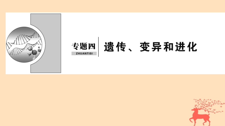 高考生物二轮复习专题4遗传、变异和进化课件_第1页