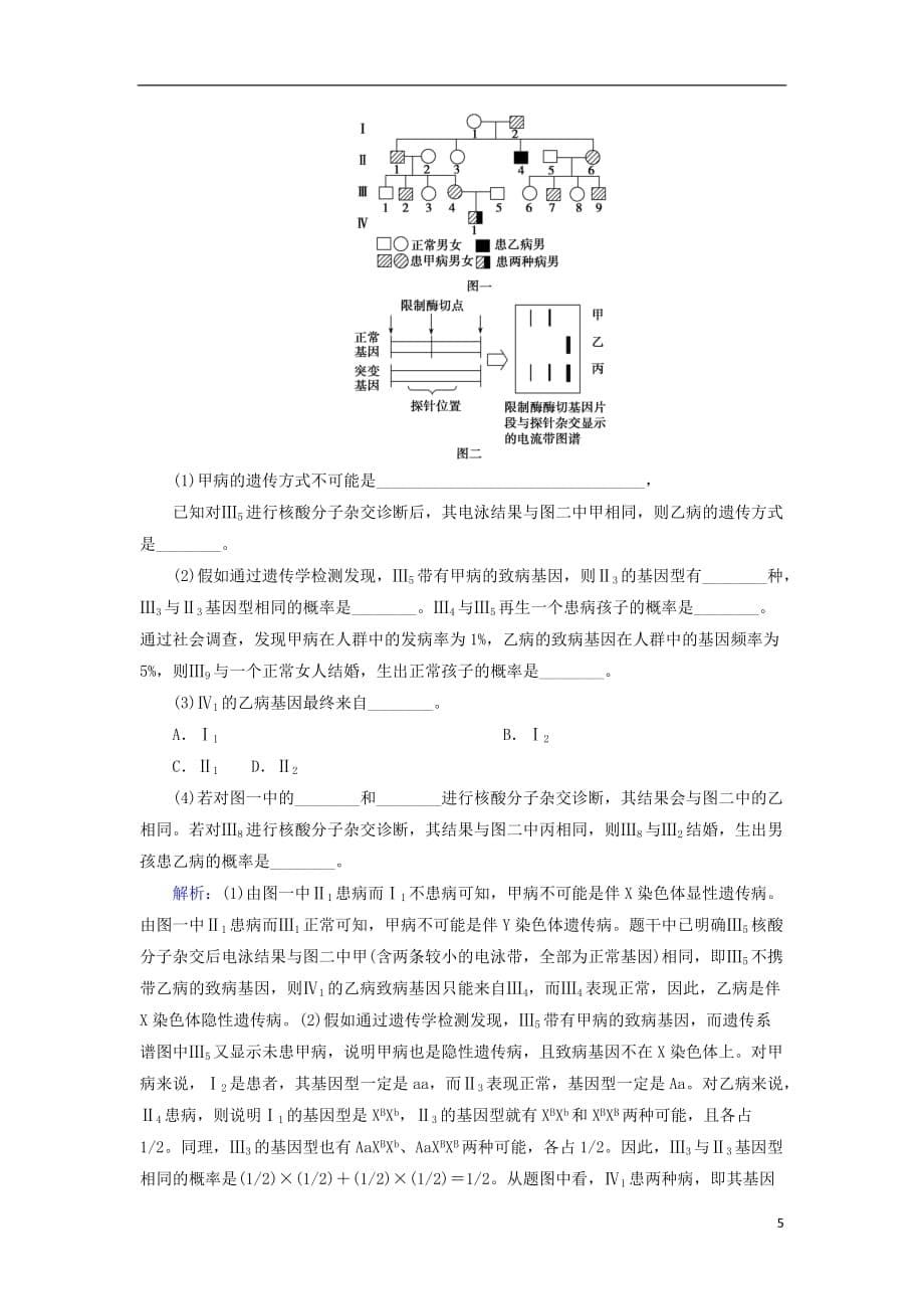 高考生物一轮复习第七单元生物的变异育种和进化第22讲人类遗传病练习案新人教版_第5页