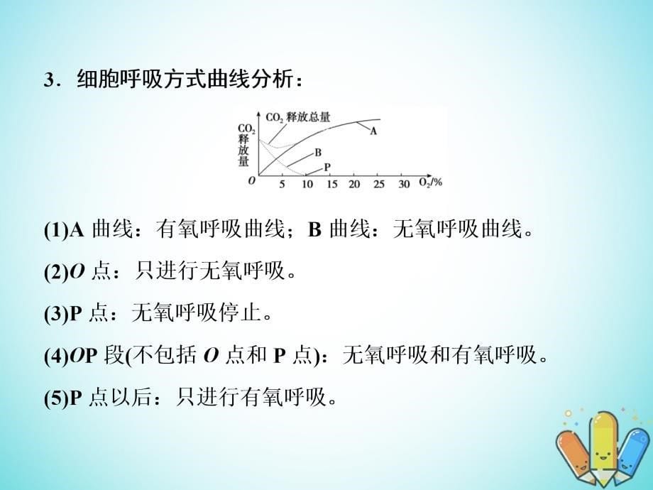 高考生物总复习精彩三十三天（二十九）光合作用与细胞呼吸1课件_第5页