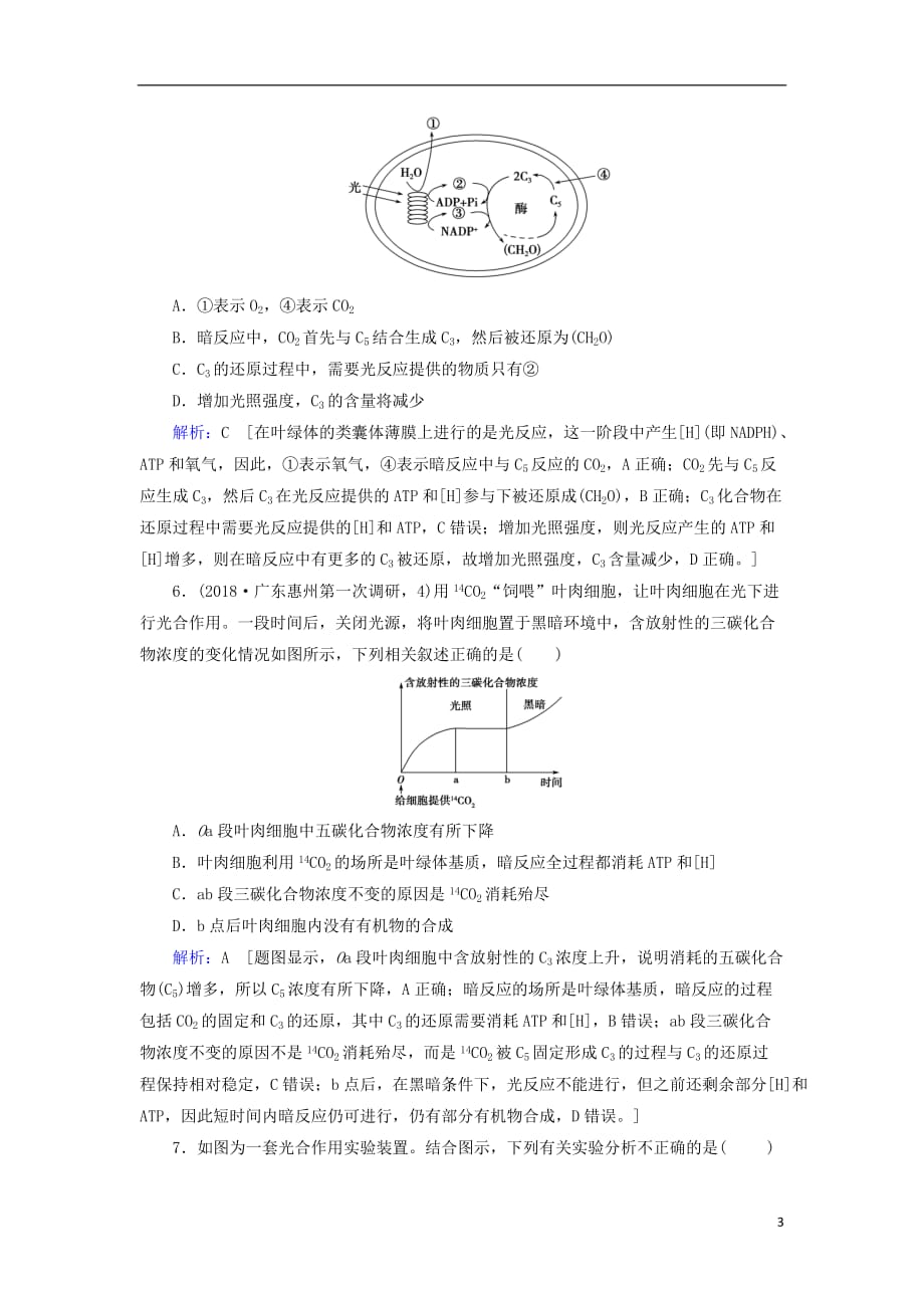 高考生物一轮复习第三单元细胞的能量供应和利用第10讲光与光合作用练习案新人教版_第3页