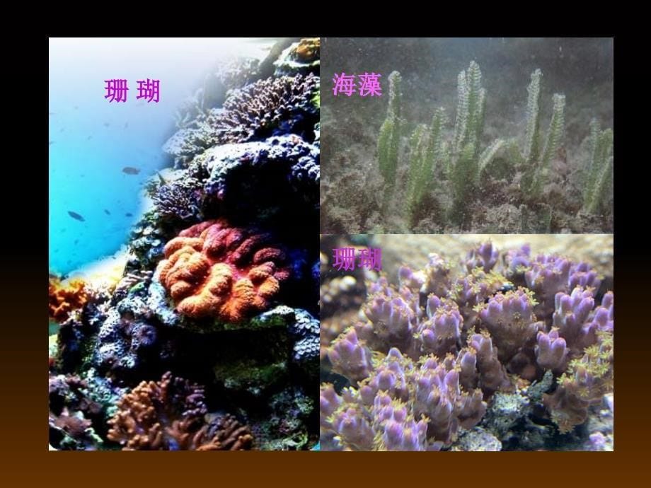 常用的纳米生物材料(ppt-72页)_第5页