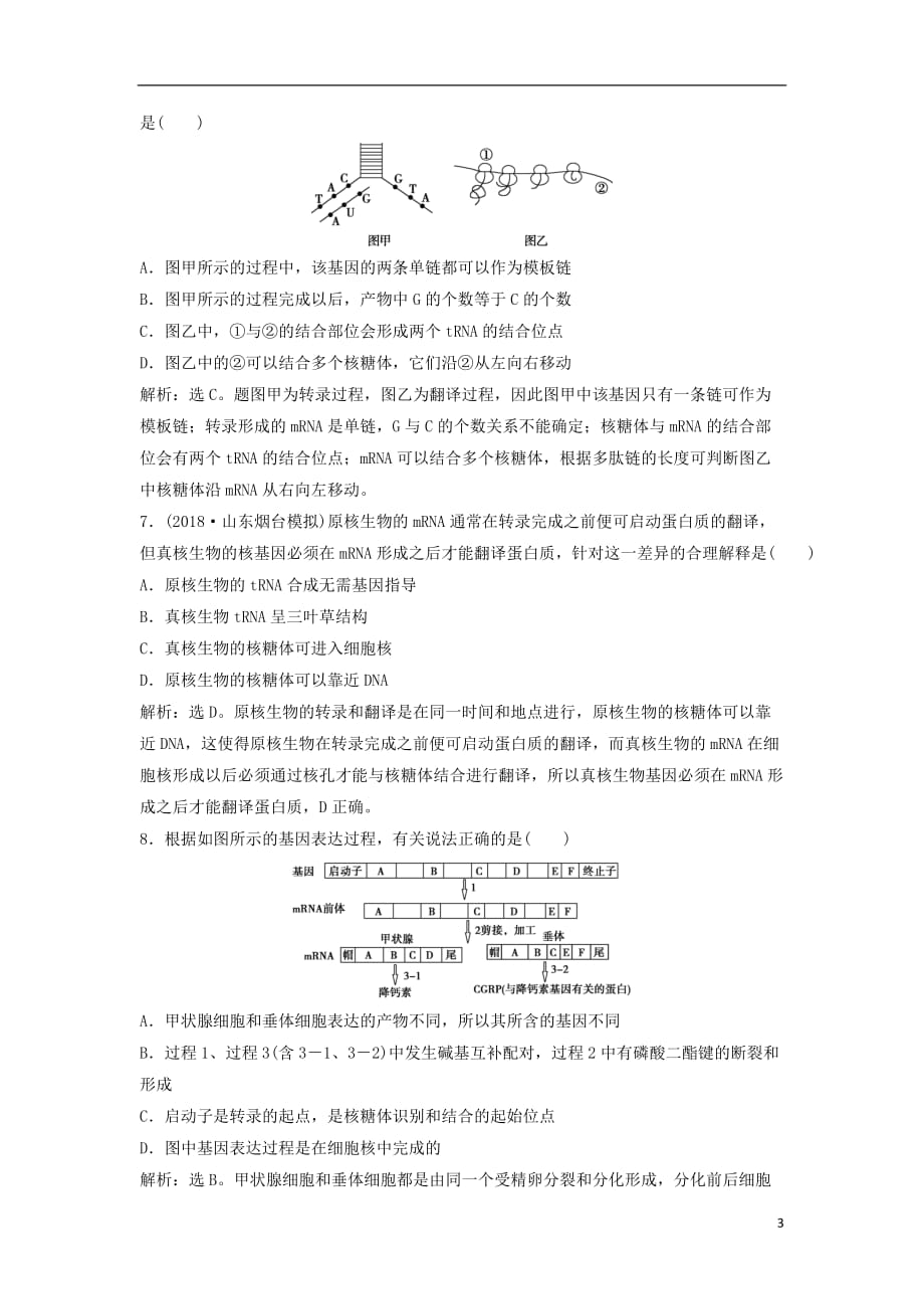 高考生物总复习第五单元遗传的物质基础阶段性检测2新人教版_第3页