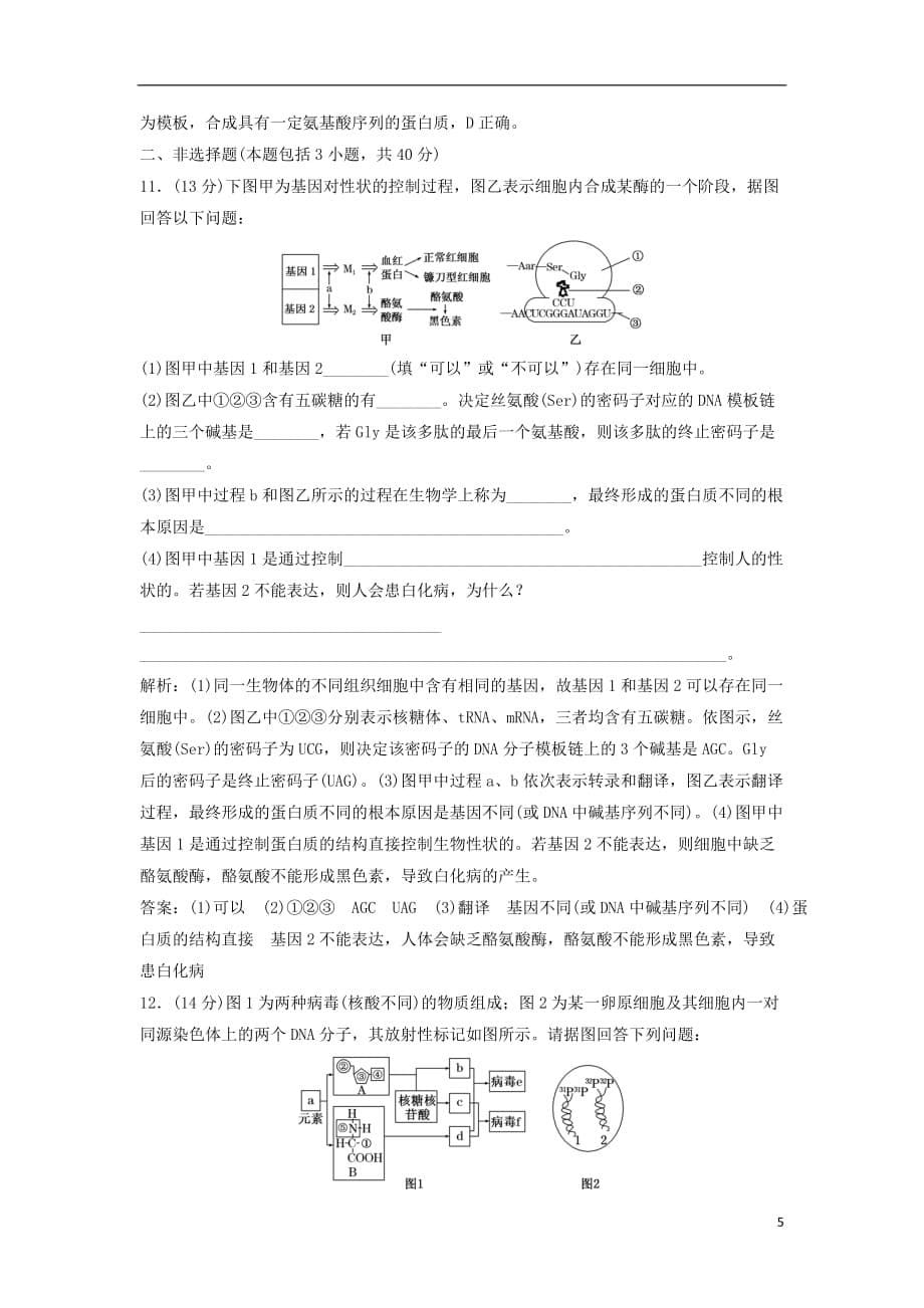 高考生物总复习第五单元遗传的物质基础阶段性检测2新人教版_第5页