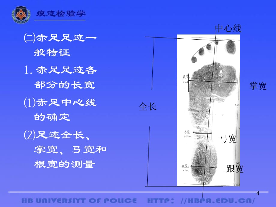 足迹检验(课堂PPT)_第4页