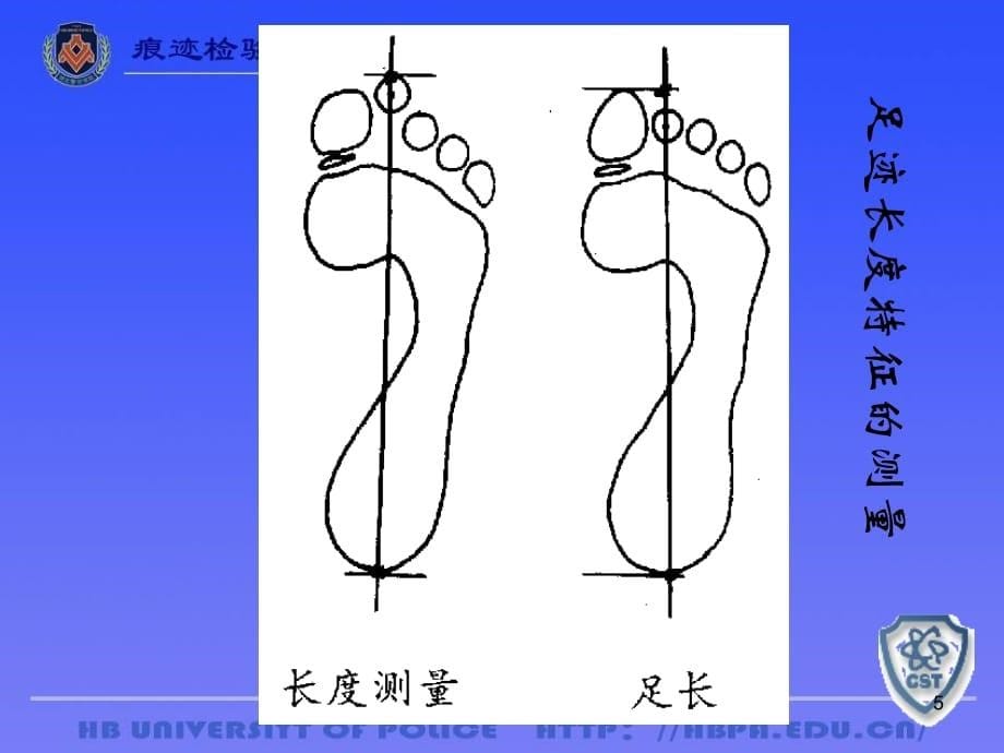 足迹检验(课堂PPT)_第5页