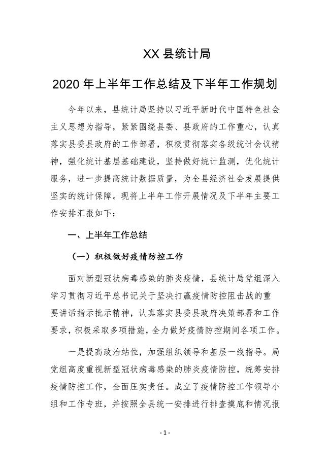 XX县统计局2020年上半年工作总结及下半年工作规划