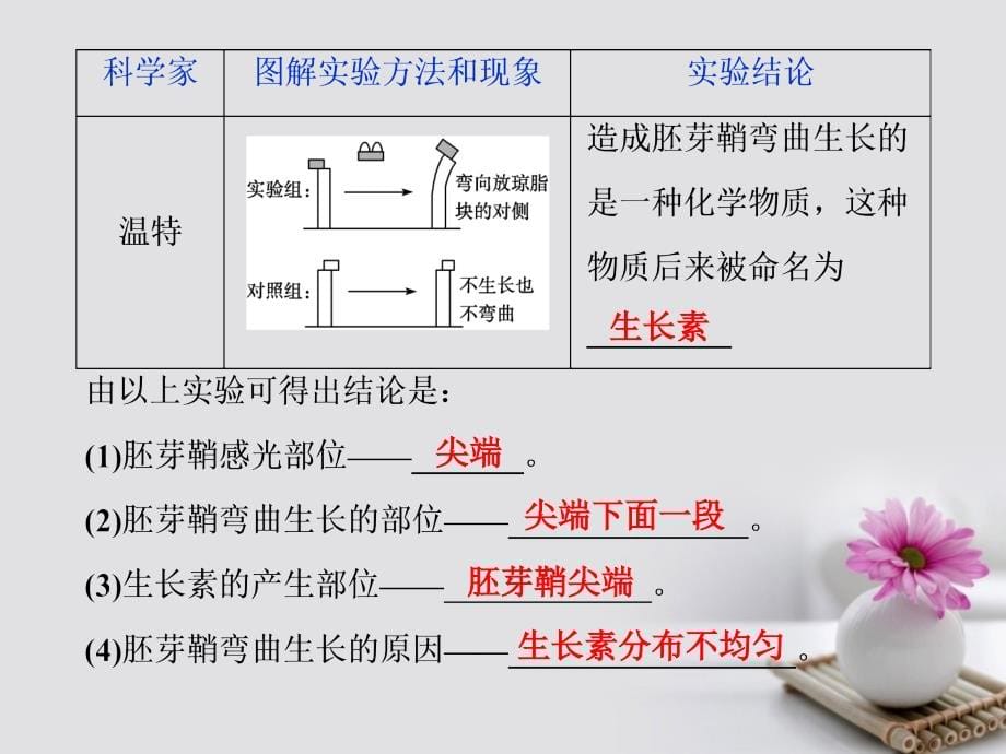 高考生物总复习第八单元生命活动的调节第29讲植物的激素调节课件新人教版_第5页