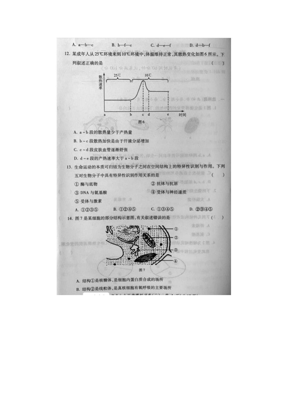 2020届上海高考化学生命科学全真模拟试题_第4页