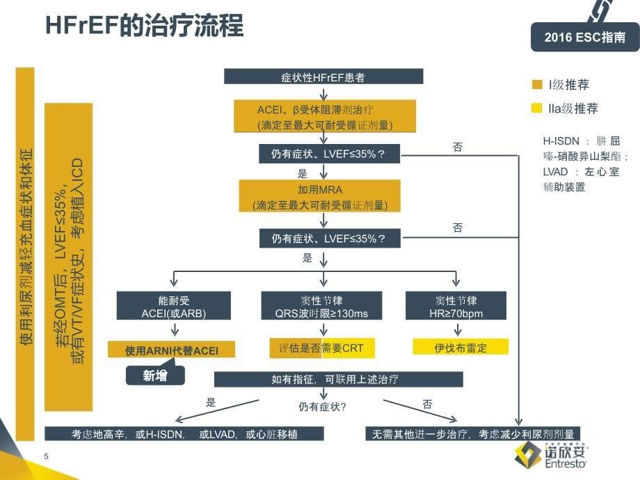 心衰新型治疗药物的发展(教学PPT)_第5页