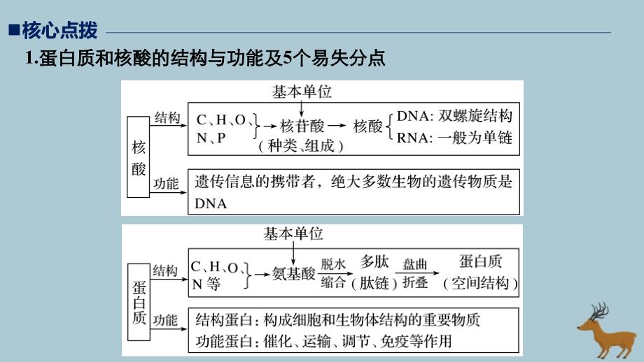 （江苏专版）高考生物二轮增分策略专题一细胞的分子组成和基本结构考点1组成细胞的分子课件_第3页