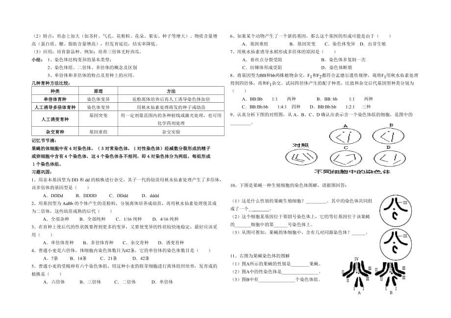 高中生物必修二第五章学案_第5页