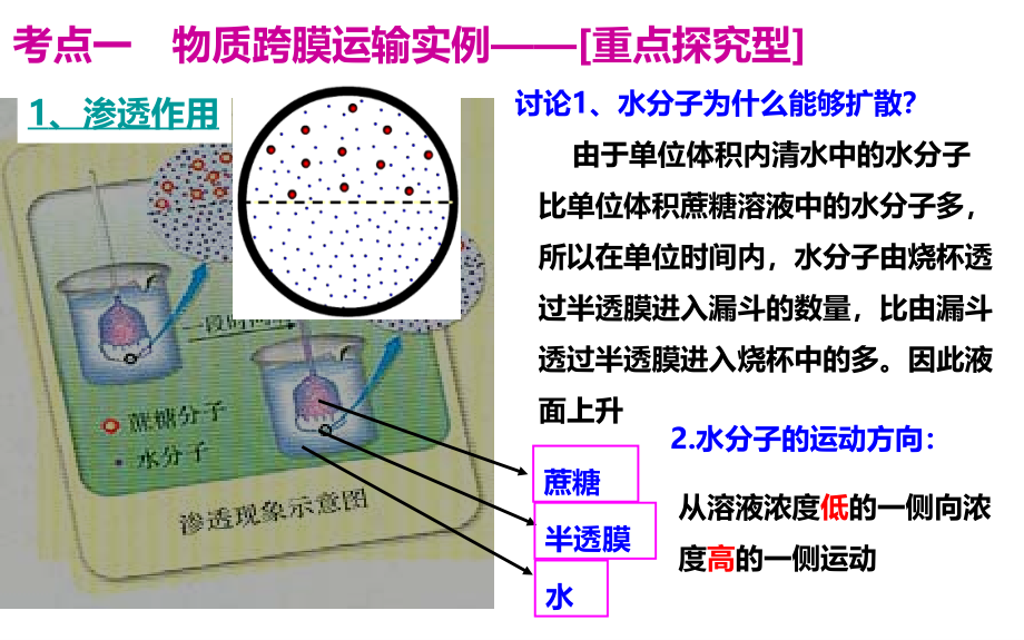 2018高三生物一轮复习物质跨膜运输的实例和方式教学提纲_第2页