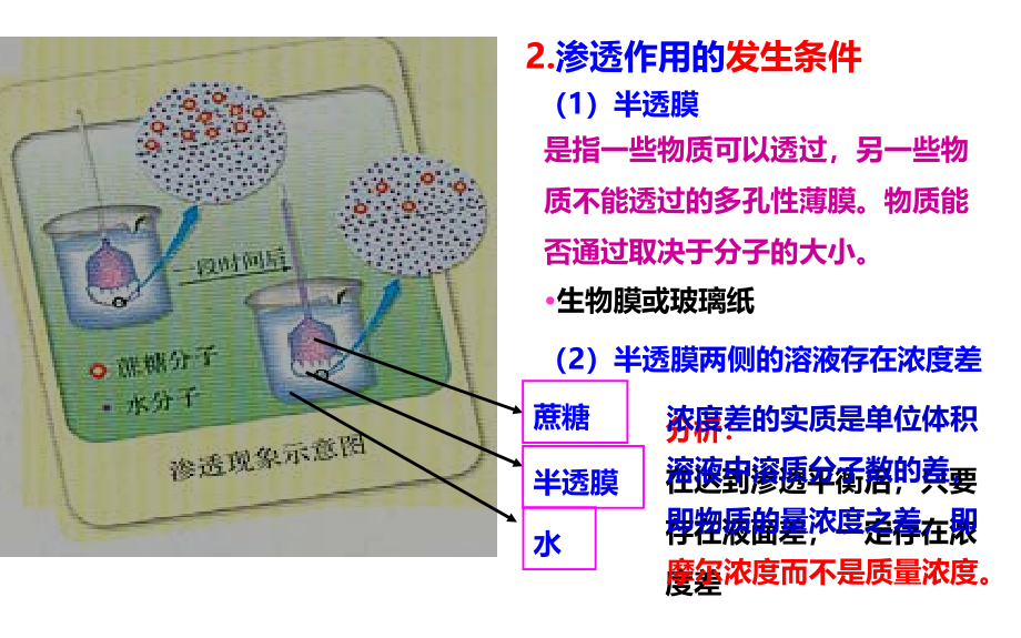 2018高三生物一轮复习物质跨膜运输的实例和方式教学提纲_第4页