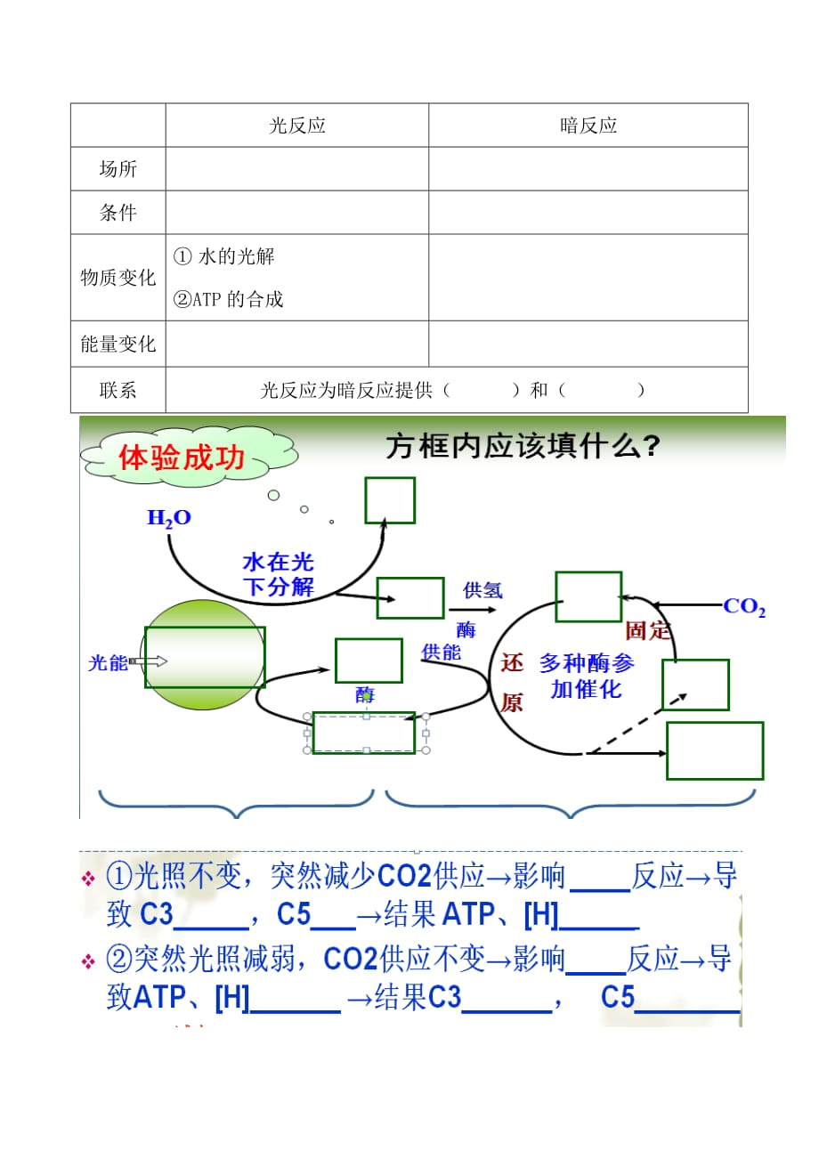 光合与呼吸知识点填空_第3页