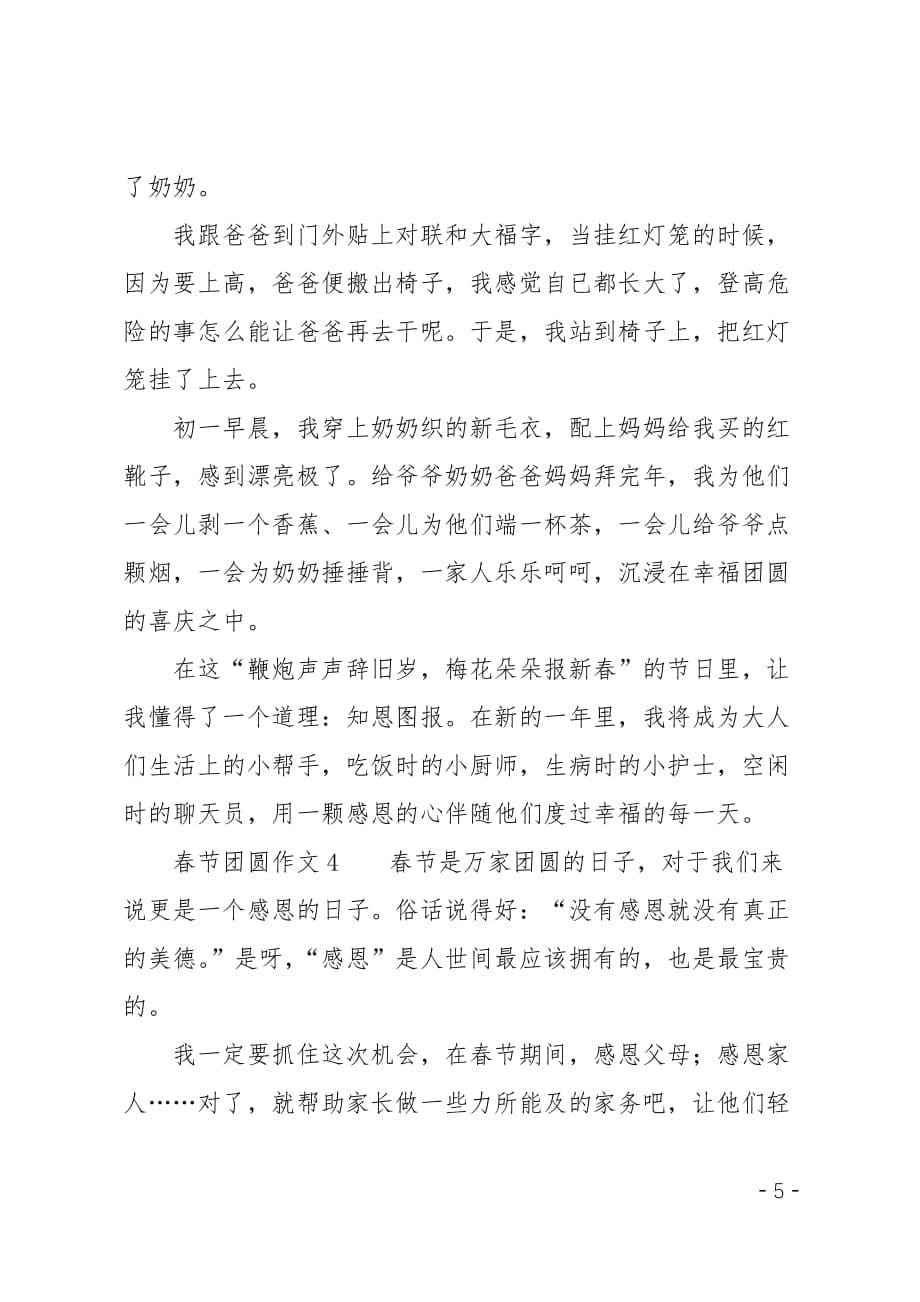 春节团圆作文_第5页