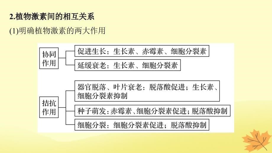 （通用版）高考生物二轮复习专题八植物的激素调节考点25植物激素的生理作用及相关应用课件_第5页