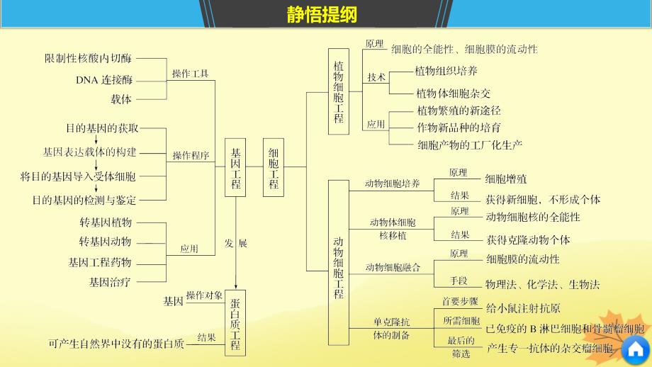 （通用版）高考生物二轮复习专题十现代生物科技专题考点29基因工程、蛋白质工程和细胞工程课件_第4页