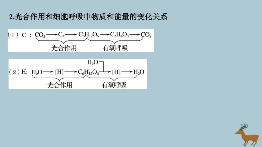 （江苏专版）高考生物二轮增分策略专题二细胞代谢考点5光合作用和细胞呼吸的原理及其相互关系课件_第5页