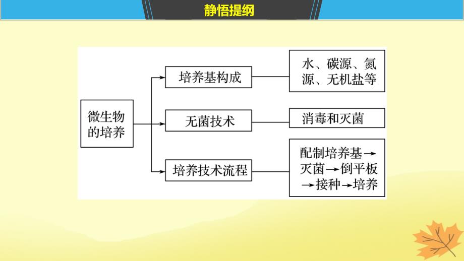 （通用版）高考生物二轮复习专题十一生物技术实践考点31微生物的利用及在传统发酵技术中的应用课件_第4页