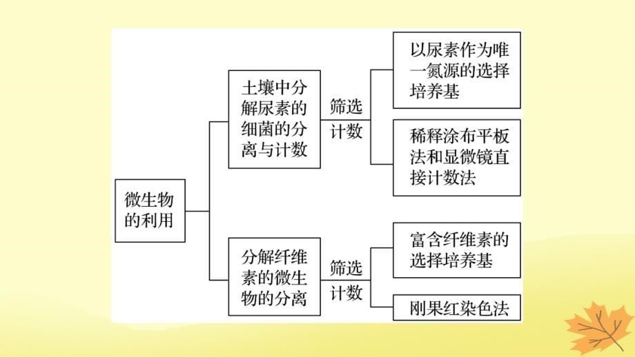 （通用版）高考生物二轮复习专题十一生物技术实践考点31微生物的利用及在传统发酵技术中的应用课件_第5页