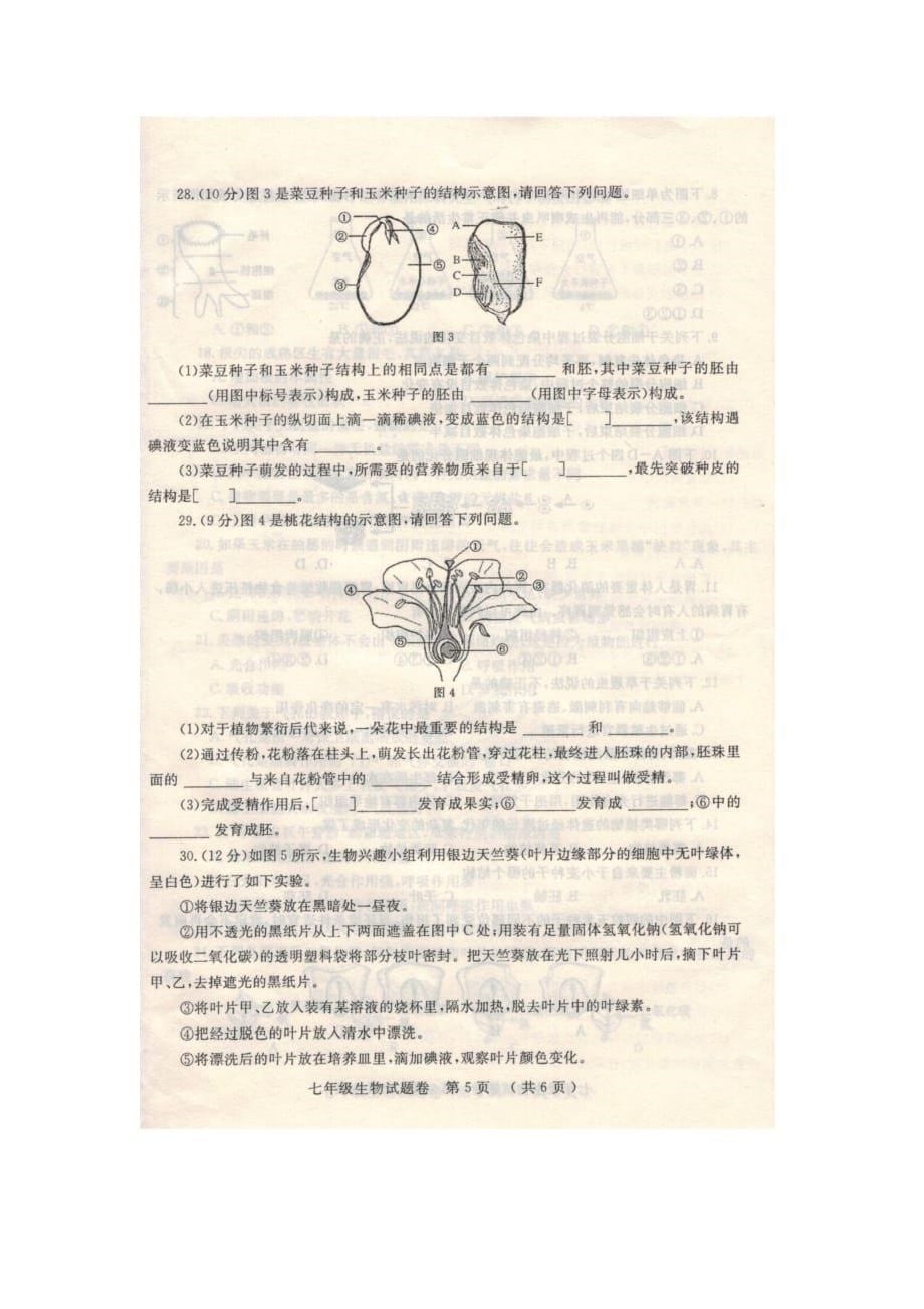 郑州市2014-2015学年上期期末考试 七年级生物试卷(含答案)_第5页