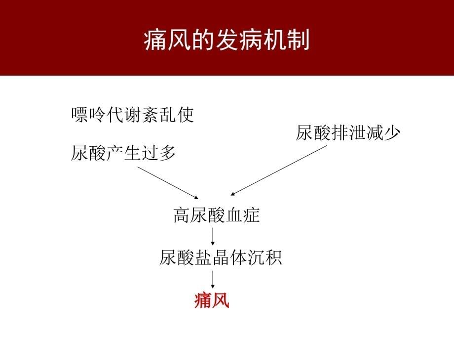 2013中国痛风临床诊治指南解读上课讲义_第5页