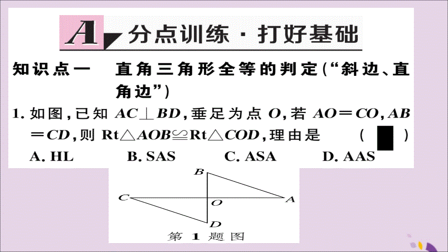 （通用）八年级数学上册12.2三角形全等的判定第4课时“斜边、直角边”习题讲评课件（新版）新人教版_第2页