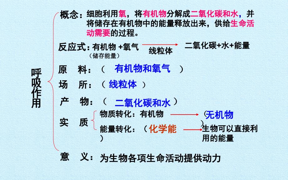 绿色植物与生物圈中的碳-氧平衡-优秀复习课件_第3页