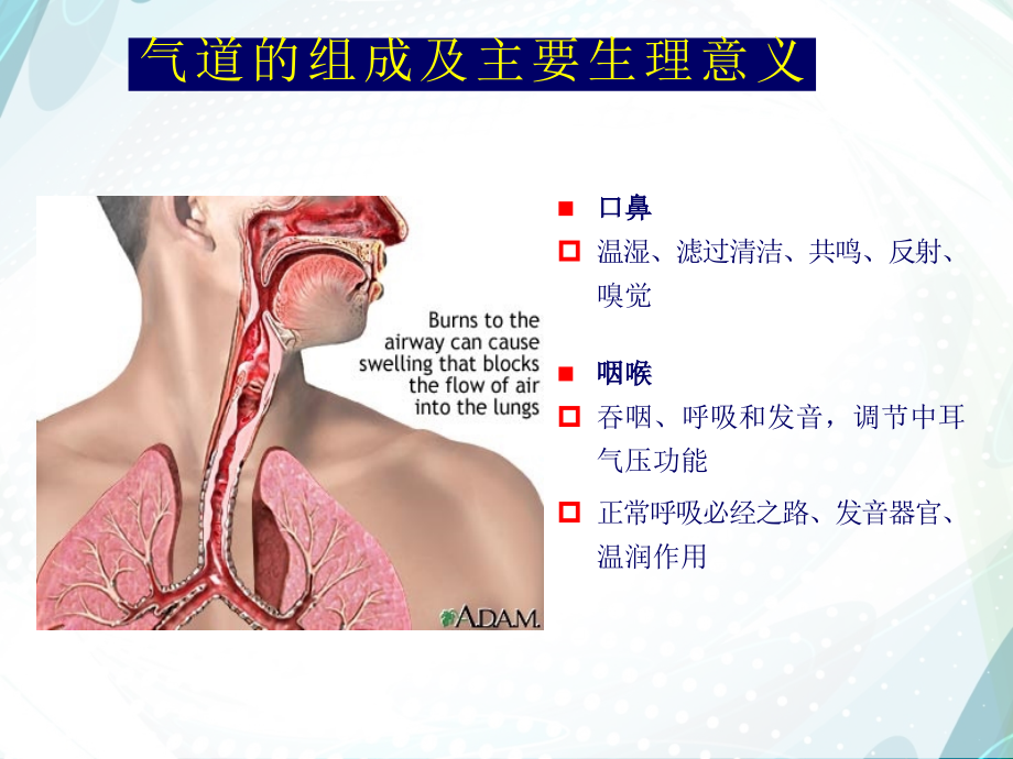 人工气道的建立与管理PPT课件_第3页