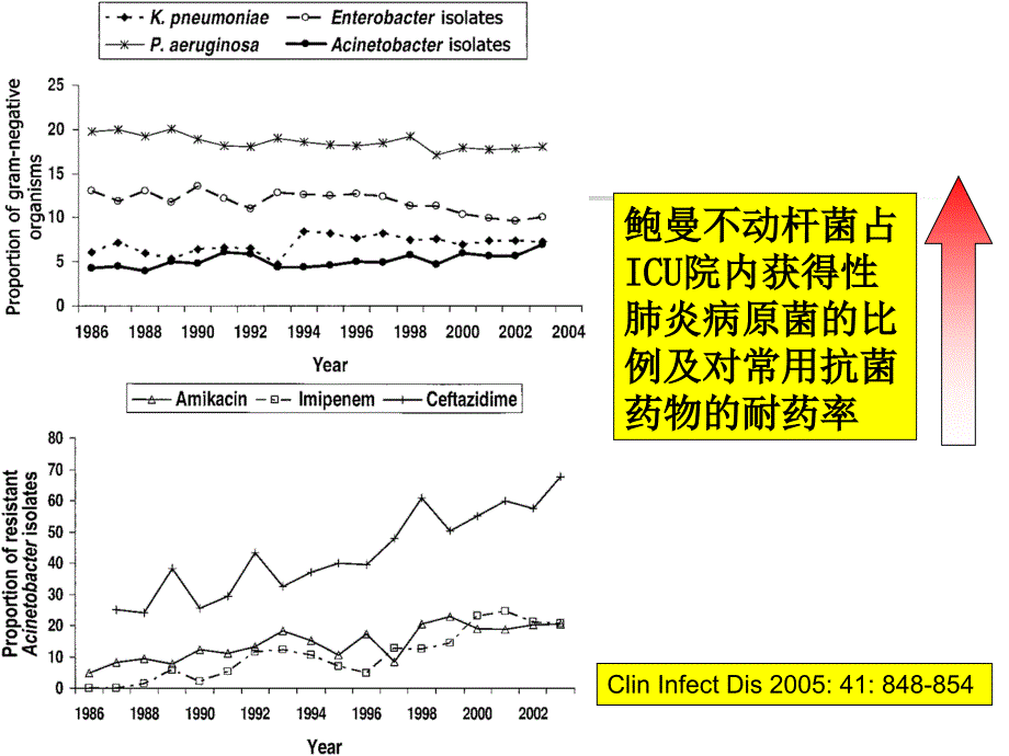 不动杆菌流行及治疗林晓ppt课件_第4页