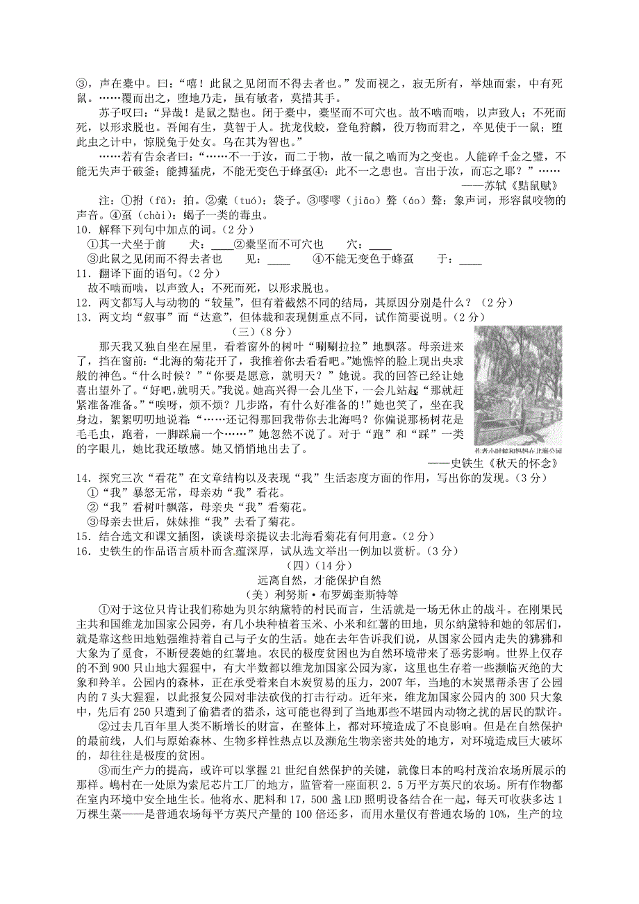 山东省东营市2016学年中考语文试题（word版含答案）.doc_第3页