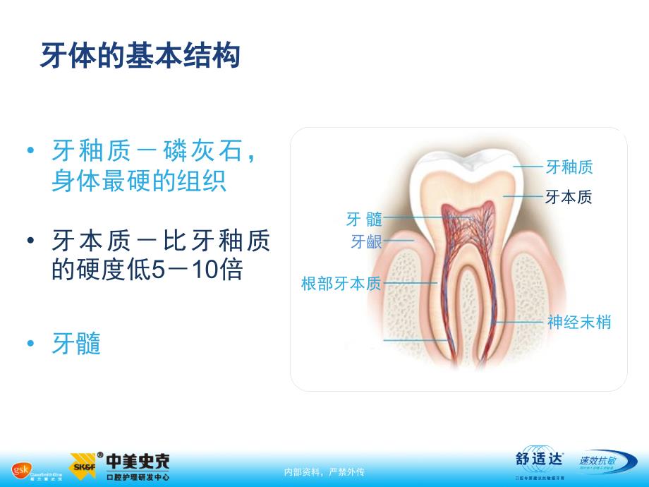 舒适达速效抗敏_第3页