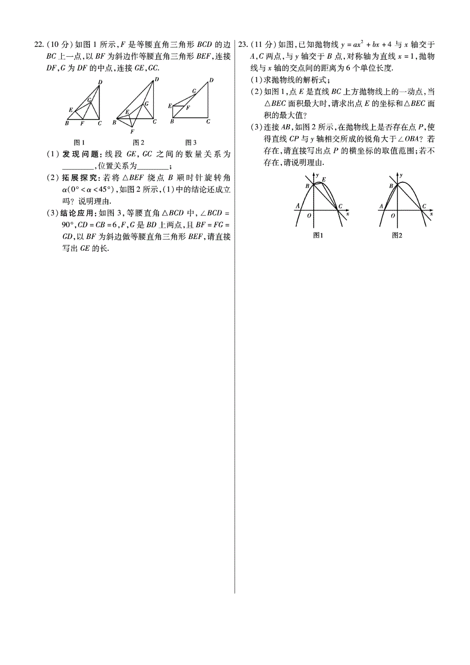 2017学年河南中考必杀技AB卷.pdf_第4页