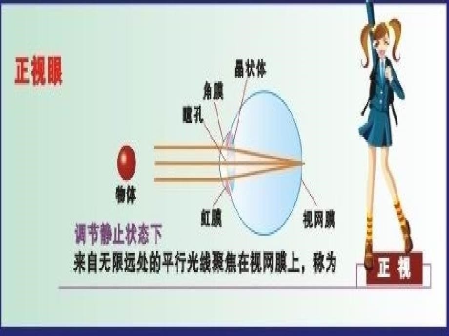 保护眼睛预防近视课件ppt课件_第5页