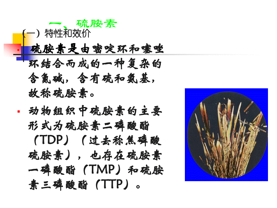 动物营养学维生素ppt课件_第4页