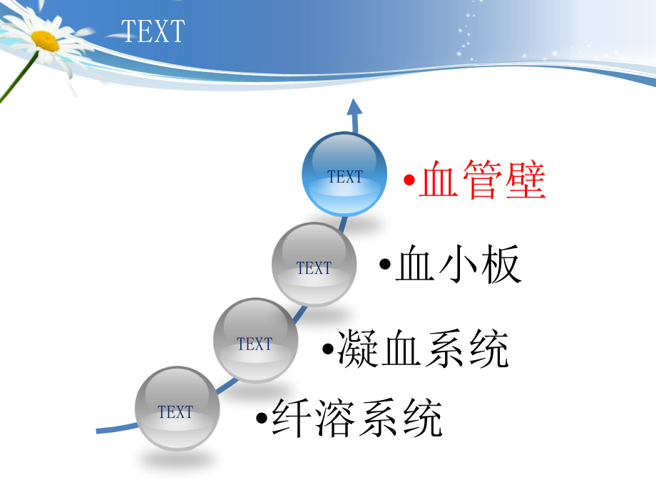 凝血机制止血药PPT课件_第4页